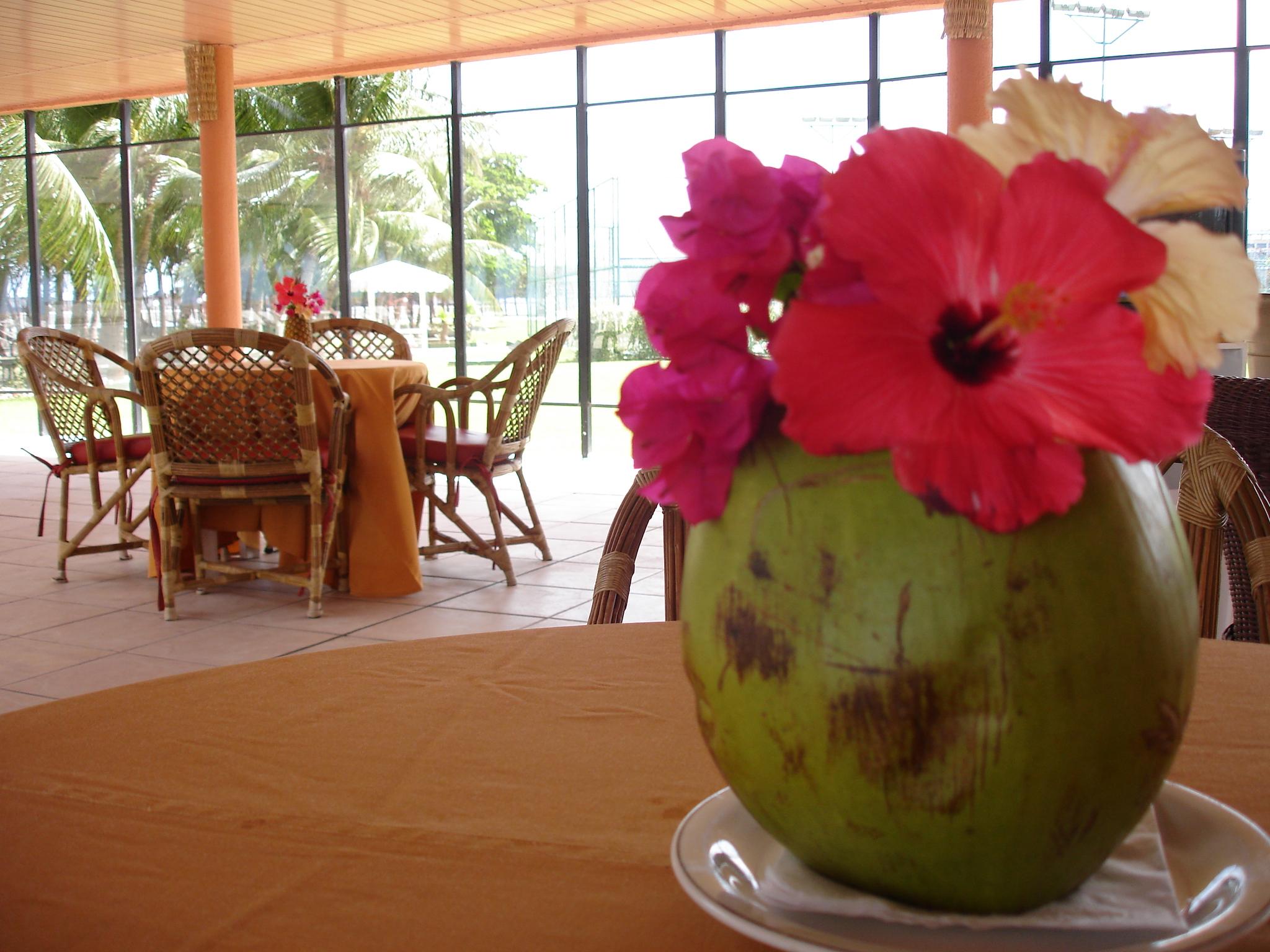 Marina Park Hotel 포르탈레자 외부 사진 A coconut flower
